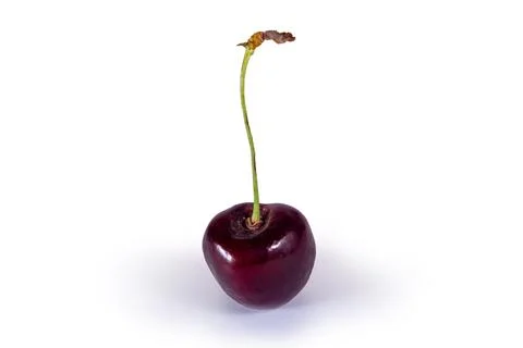 A fresh vivid red cherry isolated on white background Stock Photos