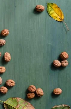 Fresh walnuts background Stock Photos