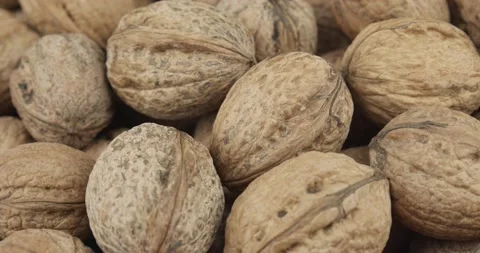 Fresh walnuts closeup rotating loopable 動画素材 154508335
