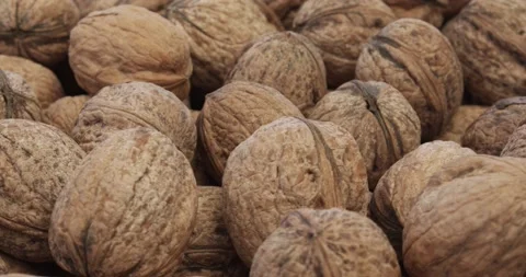 Fresh walnuts closeup rotating loopable Stock Footage 155350018