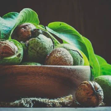Fresh walnuts in a green shell with leaf, vintage wooden background, selectiv Stock Photos