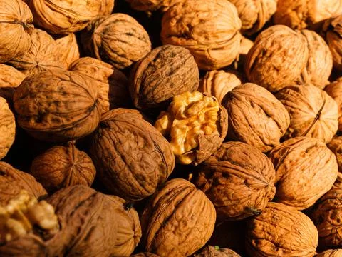 Fresh walnuts Stock Photos
