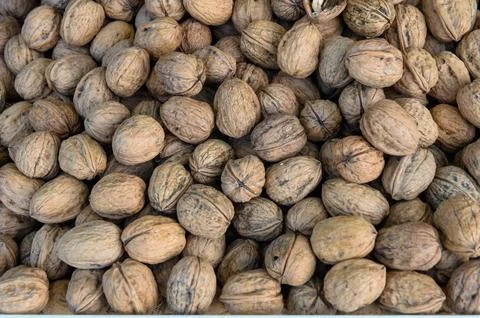 Fresh walnuts in the shell full frame close up as background Stock Photos