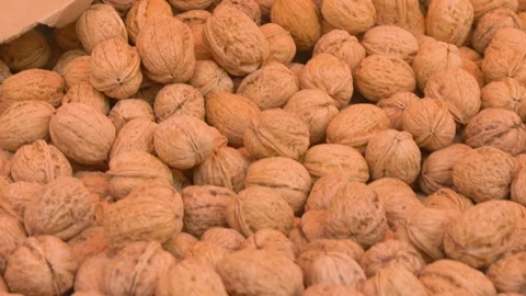 Fresh walnuts in shell at local market Stock Footage 334655556