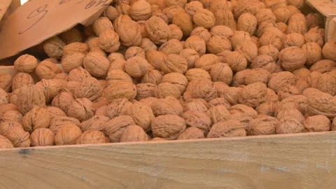 Fresh walnuts in shell at local market Stock Footage 334656686
