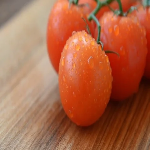 Fresh washed bunch of cherry tomatoes from the garden Stock Footage 69485434