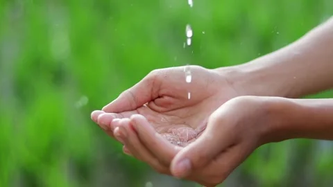 Fresh water droplets falling into cupped hands in nature Stockbeeldmateriaal 339760519