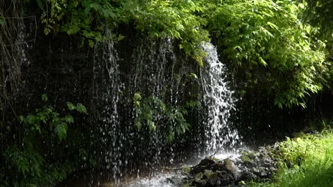 Fresh Water Falling at a Small Waterfall in a Forest (Slow Motion) Stock Footage 307465626