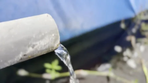 Fresh Water Flow from a Pipe into Nature Vídeo Stock 343875481