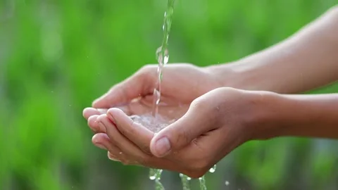 Fresh water flowing into cupped hands in a natural outdoor setting 스톡 동영상 339760506