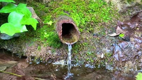 Fresh Water Flowing from Rusty Pipe in Mossy Forest Spring Stock Footage 310210768