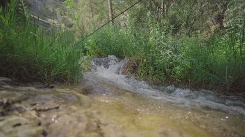 Fresh water flowing in a small stream Stock Footage 317140545