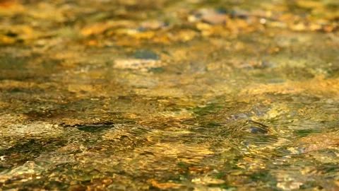 Fresh water flowing through a mountain river with sound Stock Footage 201669699