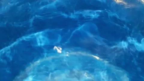 Fresh water Video stock 239931589