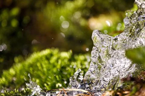 Fresh water macro view. Springtime, vitality abstract background. Stock Photos