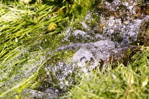 Fresh water macro view. Springtime, vitality abstract background. Foto stock