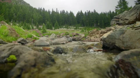 Fresh water mountain stream Stock Footage 59575473