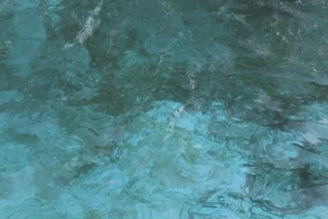 Fresh water in the pool Stock Photos