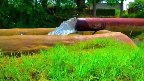Fresh water pumping from pipe for irrigation in agricultural fields Stock Footage 338305521