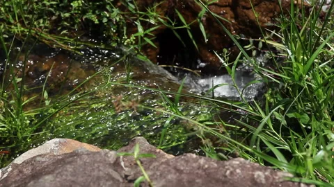 Fresh Water Running Down Stream Stock Footage 138145178
