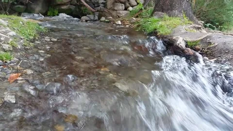 Fresh water running through a stream in Ghizar Valley Stock Footage 131539157