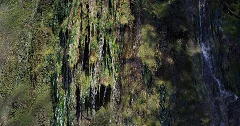 Fresh water from a small brook flows over stones covered with moss, close up Stock Footage 105589530
