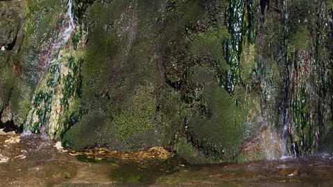 Fresh water from a small brook flows over stones covered with succulent moss Vídeo Stock 105594952