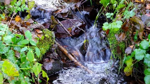 Fresh water on a small river Stock Footage 117222749
