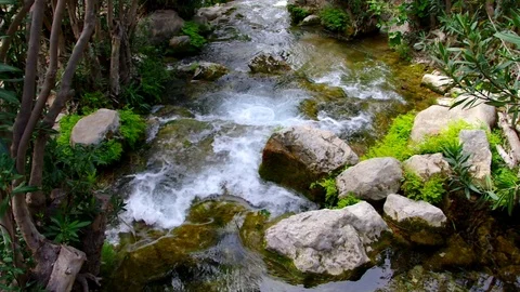 Fresh water on a small river Stock Footage 117222771