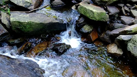 Fresh water on a small river Stock Footage 129133151