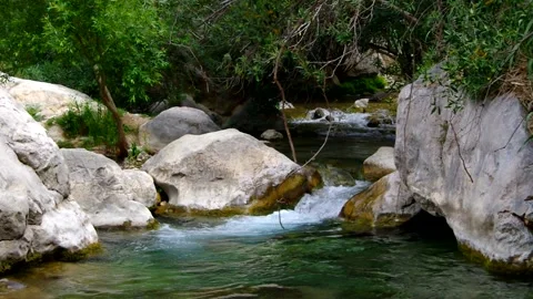 Fresh water on a small river Stock Footage 159659700
