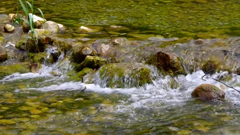 Fresh water on a small river Stock Footage 219105318