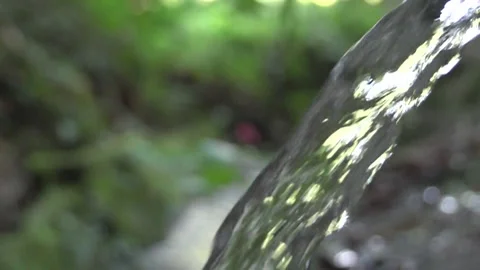 Fresh Water Source in Brazil Stock Footage 160762914