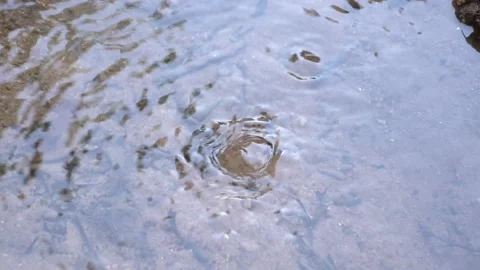 Fresh Water Source in Brazil Stock Footage 160763085