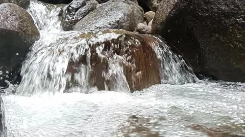 Fresh Water Stream Flowing in Lush Green Forest Stock Footage 330591740