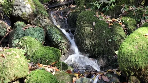 Fresh Water Stream Flowing Over Boulders, England, UK Stock Footage 296223450