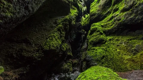 Fresh water stream flowing through mossy canyon Stock Footage 73011526