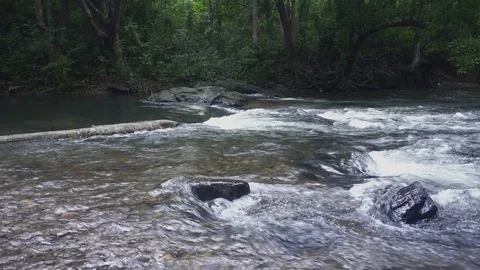 Fresh Water Stream Flowing Through a Rocky Boulder 動画素材 79475306