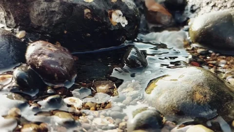 Fresh water stream flowing through pebble rocks 動画素材 344125385