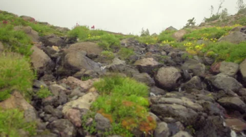 Fresh water stream Stock Footage 59508435