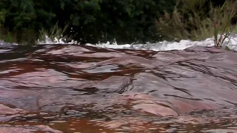 Fresh water stream Stock Footage 75886428