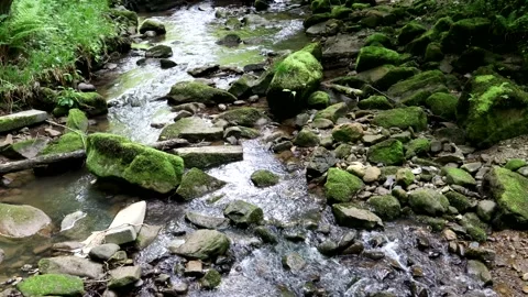 A Fresh Water stream With Moss Covered Rocks Stock-Footage 155384330