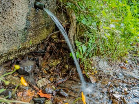 Fresh water stream Stock Photos