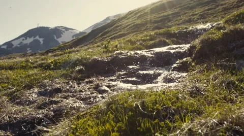 Fresh water stream running in the mountains, dragonfly flies over it  Stock Footage 66484447