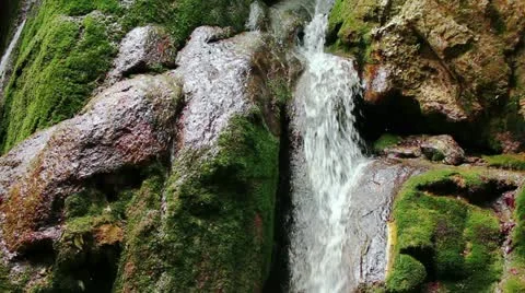 Fresh water stream with waterfall in mountain forest Stock Footage 21259748