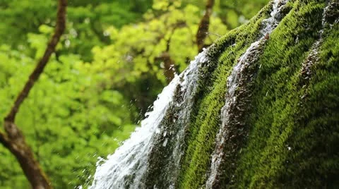 Fresh water stream with waterfall in mountain forest Video stock 21259922