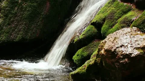 Fresh water stream with waterfall in mountain forest Vidéo 21259943