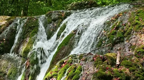 Fresh water stream with waterfall in mountain forest Stock Footage 21260459