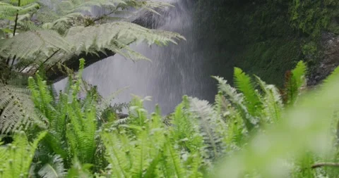 Fresh Waterfall Current With Green Plants 스톡 동영상 330623959