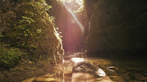 Fresh waterfall fauna flora Stock Footage 25005368